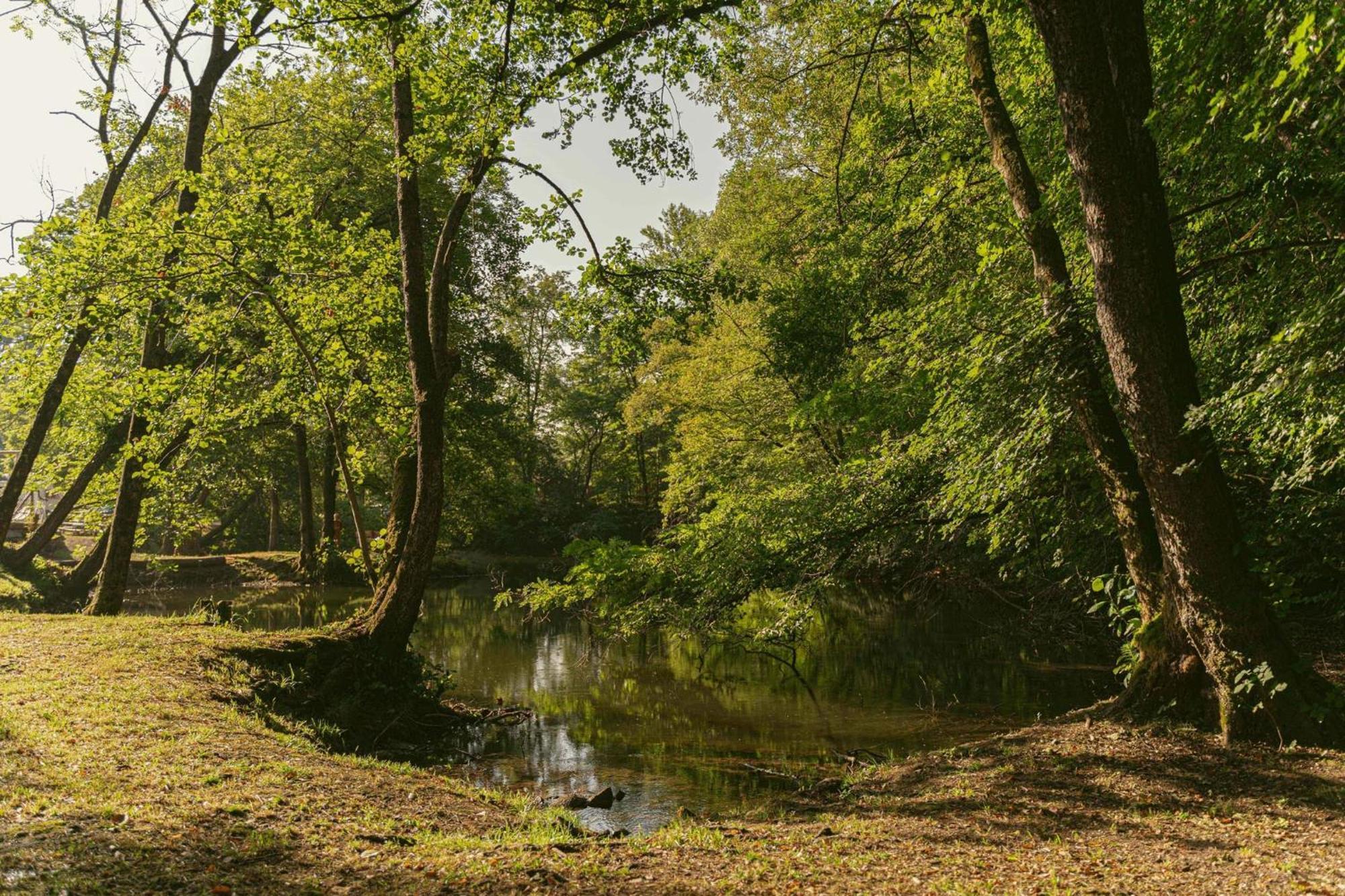 Ca Stella Camping Del Monte San Giorgio Meride Eksteriør bilde