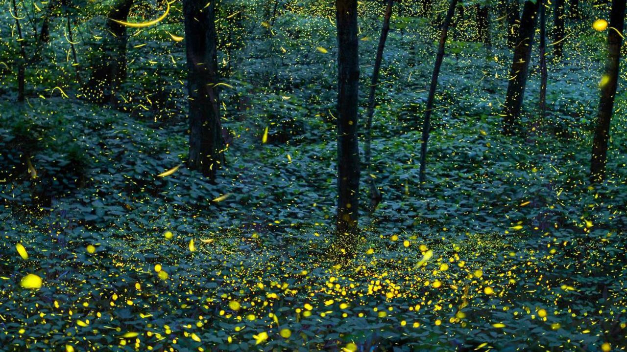 Ca Stella Camping Del Monte San Giorgio Meride Eksteriør bilde